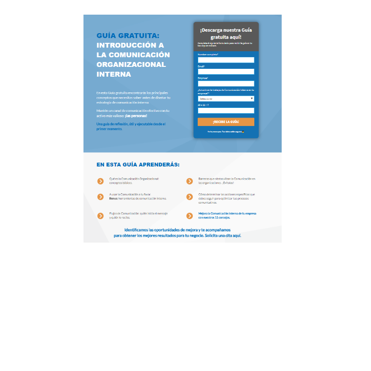 Diseño y Construcción Landing Pages ...